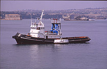 AUGUSTEO — General Cargo Ship, Italy flag, built 1979