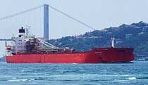 LHG RIO — Bulk Carrier, Marshall Islands flag, built 1981