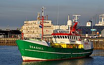 SEAGULL — Offshore Vessel, SAN MARINO flag, built 1973
