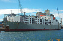 GULF LIVESTOCK 2 — Specialized Cargo Ship, Republic of Panama flag, built 1985