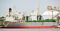 PATHFINDER II — Bulk Carrier, LIBERIA flag, built 1981