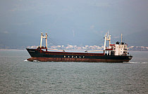 ALINA — General Cargo Ship, COMOROS flag, built 1983