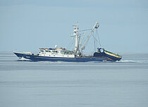 GRANADA — Fishing Vessel, Senegal flag, built 1981