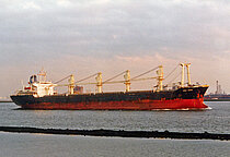 NASSAU PARADISE — Bulk Carrier, BAHAMAS flag, built 1984