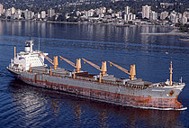 HIDIRBEY — Bulk Carrier, TURKEY flag, built 1982