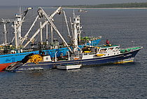 MOAMARI — Fishing Vessel, Kiribati flag, built 1982