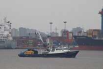 GOLDEN STAR 5