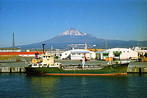 None — Service Ship, INDIA flag, built 1981