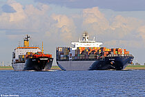 MSC EYRA — Container Ship, PANAMA flag, built 1982