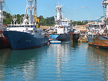 TXORI AUNDI — Fishing Vessel, SEYCHELLES flag, built 1984