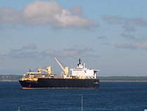 DEWAYNE T WILLIAMS — Ro Ro Cargo Ship, United States of America flag, built 1985