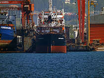 VOLGO-BALT 231 — General Cargo Ship, RUSSIAN FEDERATION flag, built 1981