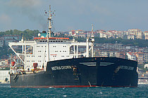 TAMARA TOKONI — Service Ship, Panama flag, built 1984