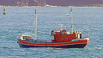 TRIP TENDER — Pleasure Craft, NETHERLANDS flag, built 1984