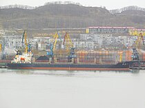 PU SHENG 6