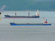 SKOON A — General Cargo Ship, PANAMA flag, built 2008
