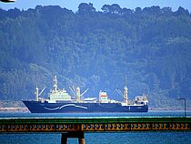 MAIRONIS — Fishing Vessel, Russia flag, built 1990