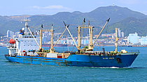 VITALIYSMYKOV — Specialized Cargo Ship, Russia flag, built 1988