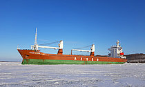 GENNADY TSYGANKOV — General Cargo Ship, Russia flag, built 1988
