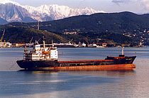NESSEBAR — Container Ship, BULGARIA flag, built 1989