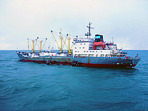 KOMMUNARY NIKOLAYEVA — Specialized Cargo Ship, Russia flag, built 1989