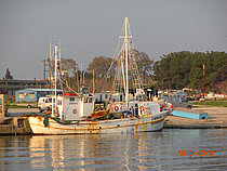 AGIA MARINA — Fishing Vessel, GREECE flag, built 1949