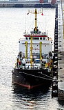 M.T.ARENA — Other Tanker, Saint Kitts and Nevis flag, built 1988