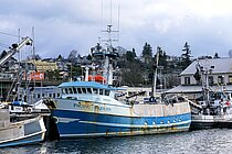 PACIFIC SOJOURN — Fishing Vessel, GUAM flag, built 1983
