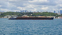 NIKOLAY MESHKOV — General Cargo Ship, Palau (Republic of flag, built 1980