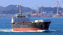 TALIA — General Cargo Ship, Comoros flag, built 1994