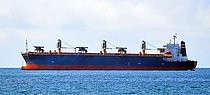 ESTABLE TRADER — Bulk Carrier, PANAMA flag, built 1989