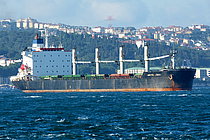 ARCTIC OCEAN — Bulk Carrier, Panama flag, built 1990