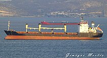 ALI S — Bulk Carrier, TANZANIA flag, built 1993