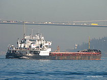 Abg 330