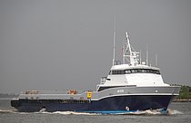 SEASTREAK NEW YORK
