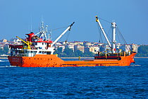 ALIM PASA — General Cargo Ship, CAMEROON flag, built 1990