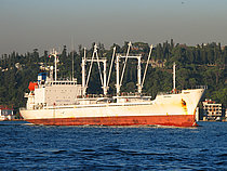 SUAH — General Cargo Ship, PANAMA flag, built 1990