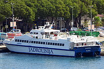 DONGJIN FIDES