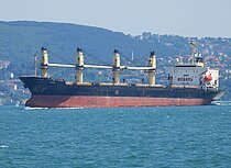 MARIA — Bulk Carrier, Guinea-Bissau flag, built 1992
