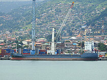 DIANA STAR — General Cargo Ship, TOGO flag, built 1995