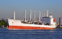 SEA WEALTH — Specialized Cargo Ship, Panama flag, built 1993
