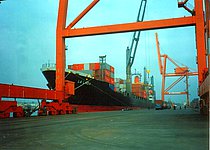 TERRA LUMINA — Container Ship, SINGAPORE flag, built 1993