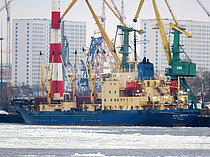 FRIO NEREUS — General Cargo Ship, Russia flag, built 1994