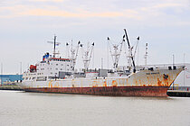 BUKHTA RUSSKAYA — Specialized Cargo Ship, Russia flag, built 1995