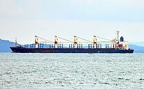 SHENG LU — Bulk Carrier, St.Kitts and Nevis flag, built 1994