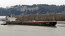 WOO — Bulk Carrier, KOREA, REPUBLIC OF flag, built 1995