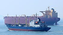 PYOTR ILICHYOV — Specialized Cargo Ship, Russia flag, built 1993