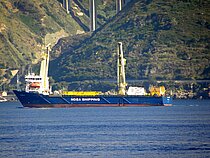 ROMAN E — Specialized Cargo Ship, The Republic of Panama flag, built 1995