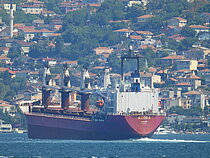 ALORA — Bulk Carrier, COMOROS flag, built 1995