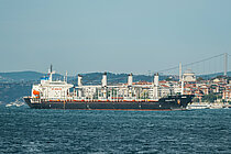 MUSTAFA J — Bulk Carrier, Republic of Palau flag, built 1996